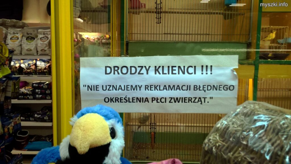 Kartka w sklepie zoologicznym z informacją: Nie uznajemy reklamacji błędnego określenia płci zwierząt.