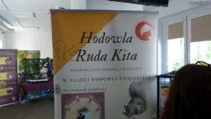 Banner: Hodowla Ruda Kita (2024-05-19)