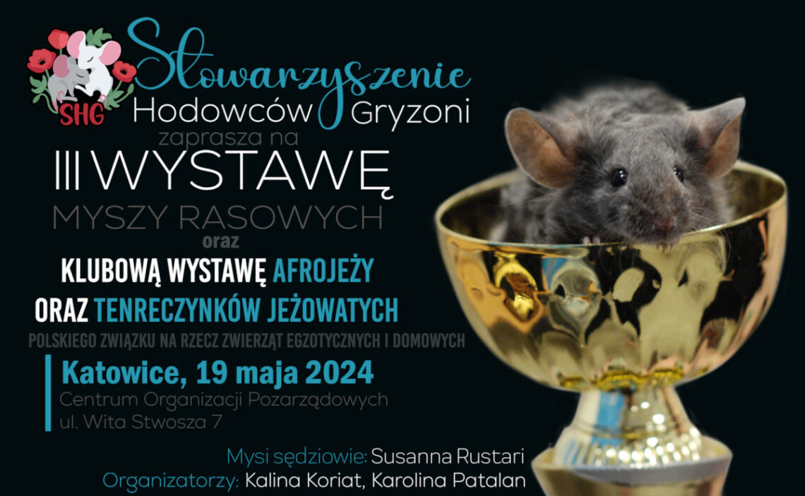 III Wystawa myszy rasowych oraz klubowa wystawa afrojeży i tenreczynków jeżowatych - 2024-05-19, Katowice, Wita Stwosza 7